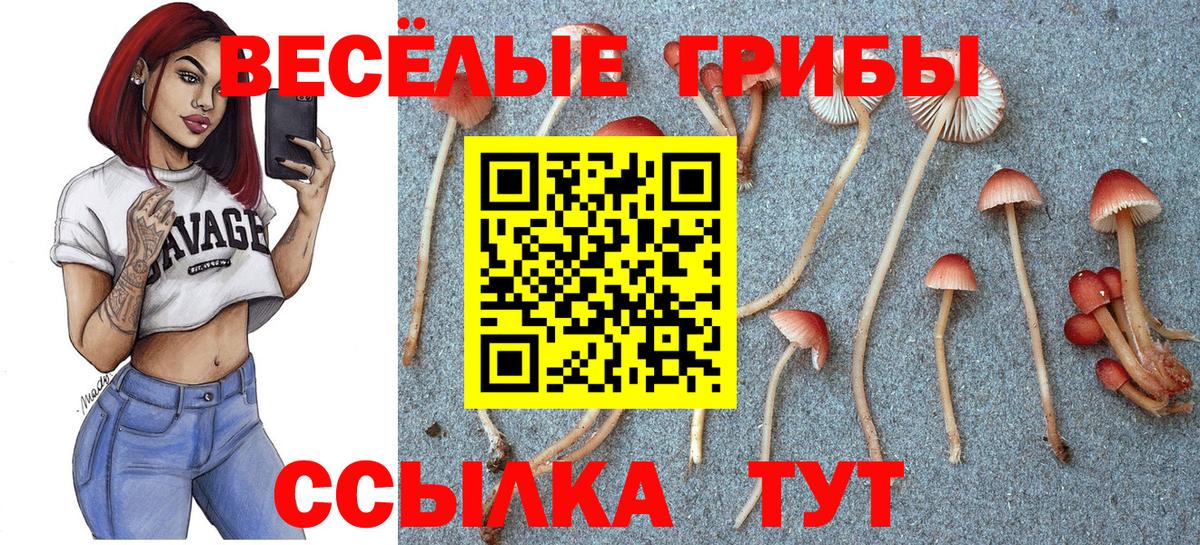 Галлюциногенные грибы мухоморы  Вход с VPN  Галлюциногенные грибы Magic Shrooms  Югорск 